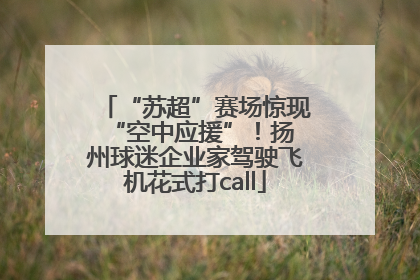“苏超”赛场惊现 “空中应援”！扬州球迷企业家驾驶飞机花式打call